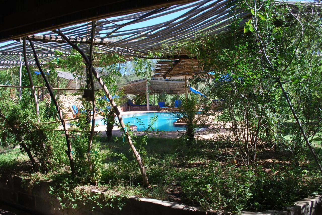 Amber Lagoon Backpackers Lodge Vleirivier Exterior photo